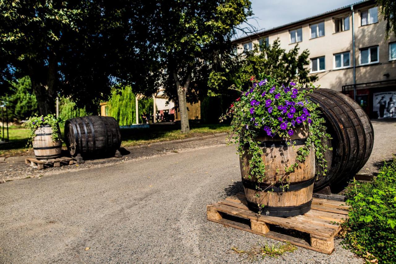 Ubytovani Ve Vinarstvi Zd Nemcicky Eksteriør billede