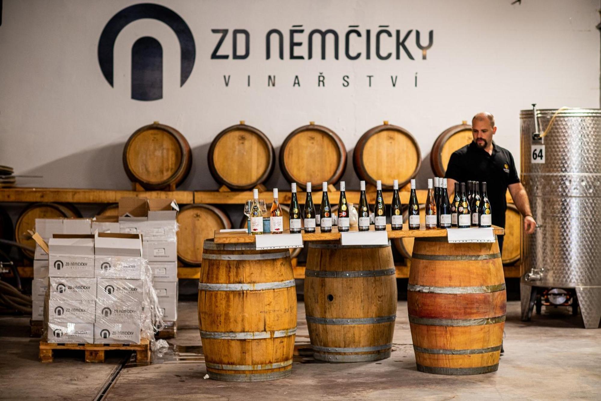 Ubytovani Ve Vinarstvi Zd Nemcicky Eksteriør billede
